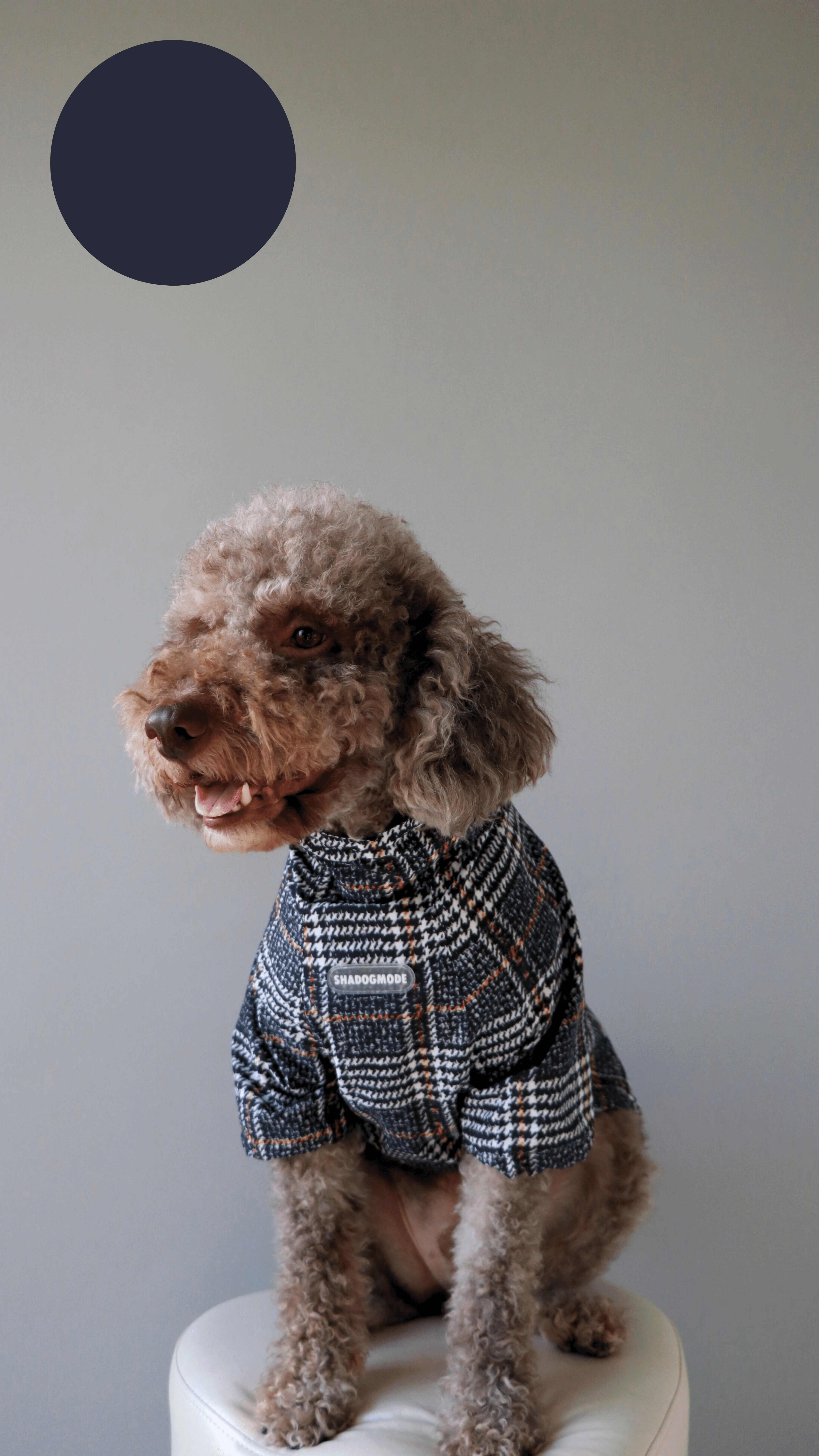 PLAID YAĞMURLUK